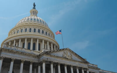 U.S. Congressional Dynamics for Nikkei Digital Governance